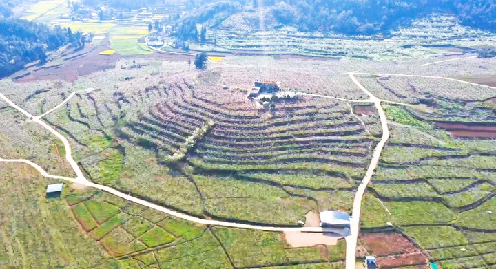 1 圖為甕安縣猴場鎮大金星村老兵蟠桃園基地。圖片由甕安融媒提供.jpeg