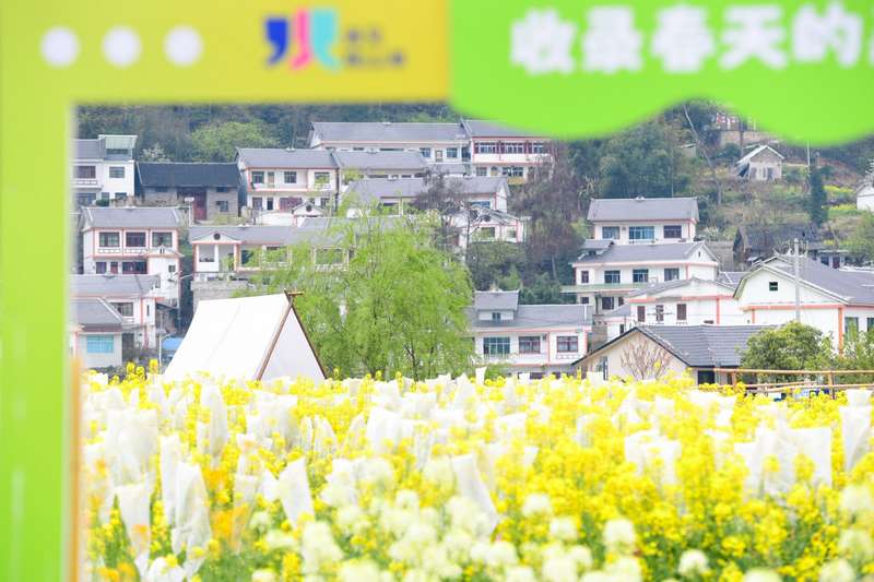 觀山湖區百花湖鎮下麥城村。