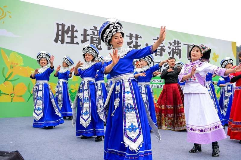 精彩紛呈的節目表演。