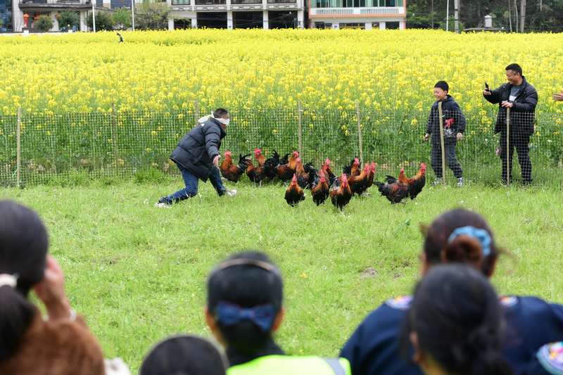 “霸王捉雞”比賽。
