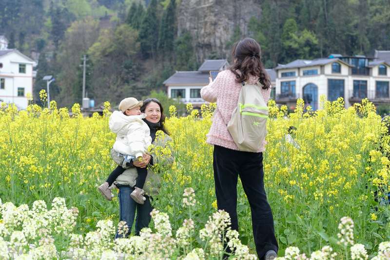 游客在花田中拍照打卡。