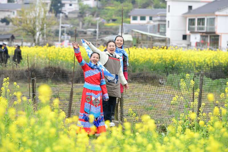游客在花田中拍照打卡。