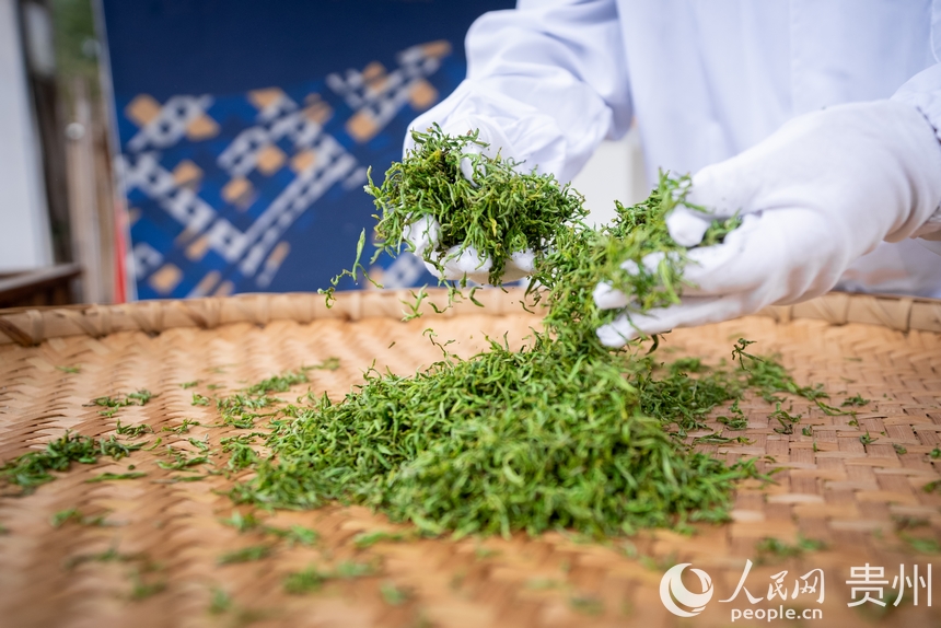 活動現(xiàn)場傳統(tǒng)制茶技藝展示。人民網(wǎng)記者 涂敏攝