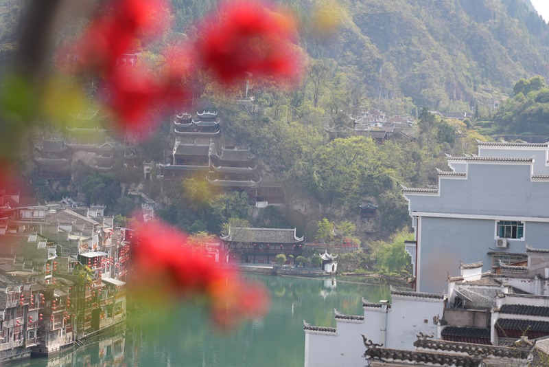 鎮遠民宿風景。