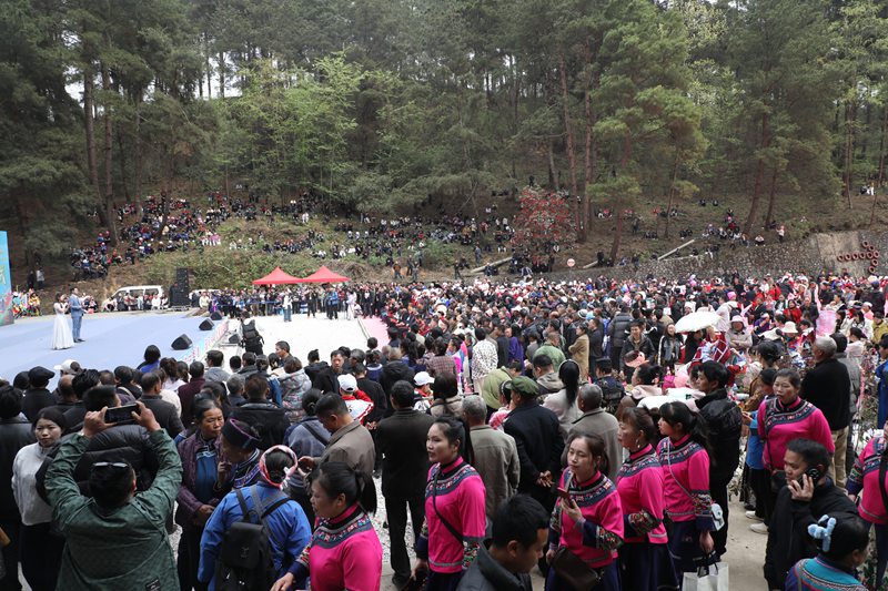 活動(dòng)現(xiàn)場(chǎng)。