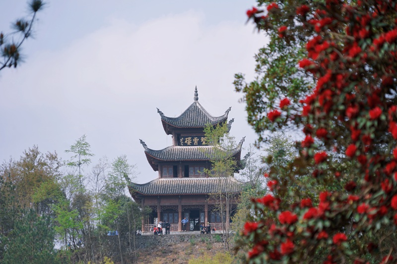 活動現(xiàn)場。