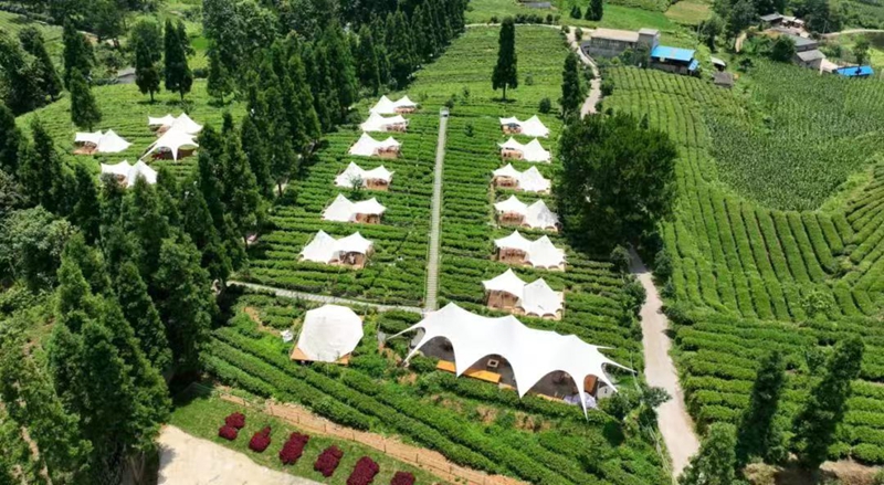 云山茶海露營基地。