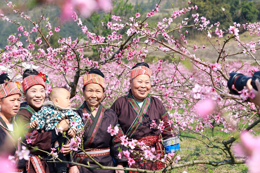 貴州省劍河縣岑松鎮塘腳村桃花種植基地，村民拍照打卡。楊家孟攝