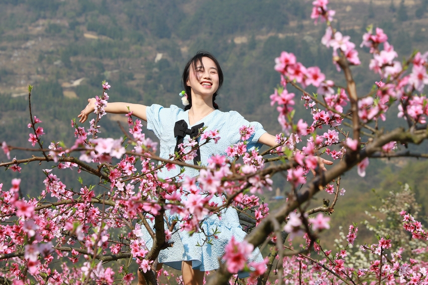 貴州省劍河縣岑松鎮塘腳村桃花種植基地，游客在賞桃花。楊家孟攝