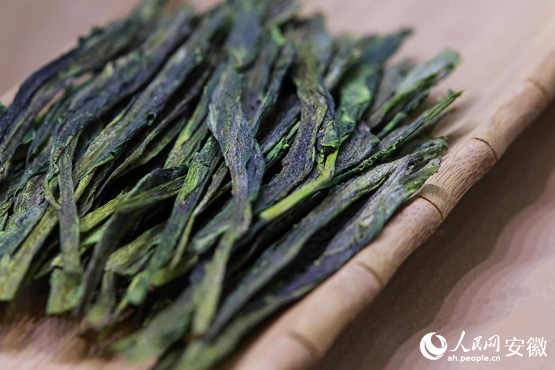 中國十大名茶——太平猴魁。人民網記者 張俊攝