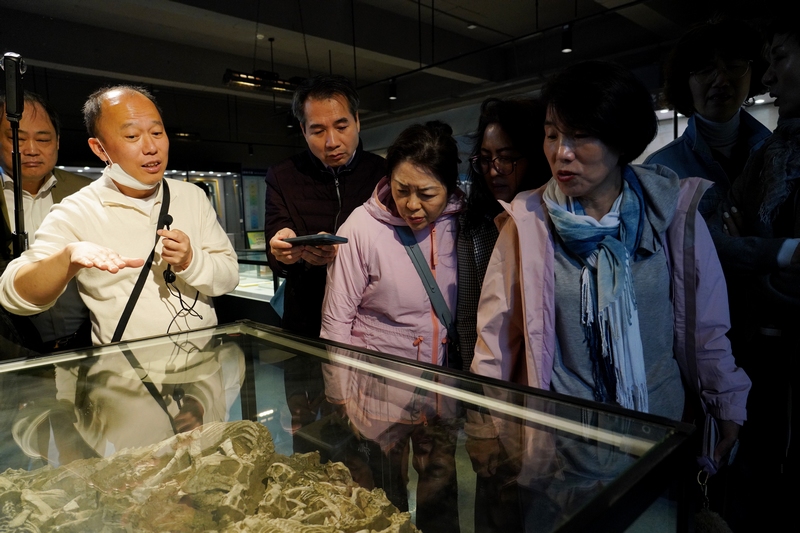 韓國客人在恐龍小鎮(zhèn)參觀。