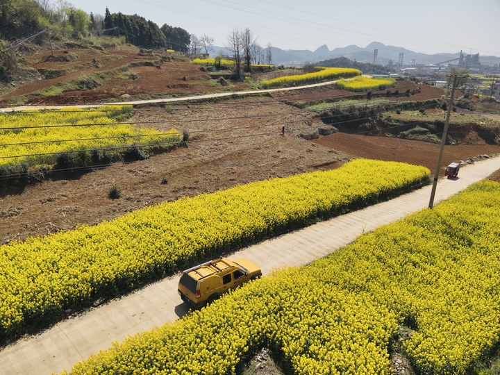 電力設備巡維。