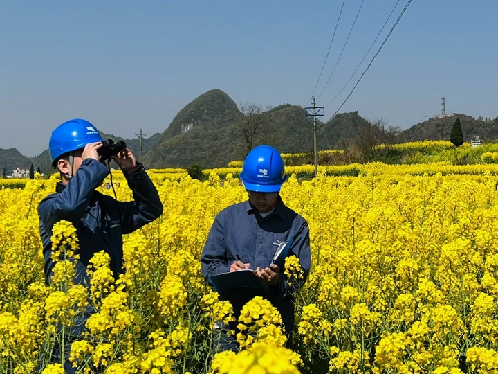 電力設備巡維。