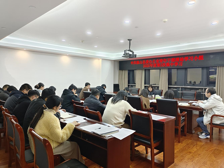 獨山縣委辦公室青年理論學習小組交流會。