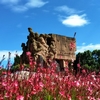 4月15日，“爽爽貴陽 紅色息烽 與渝相約”避暑旅居推介活動(dòng)在重慶舉辦……