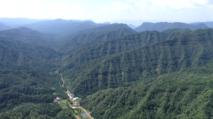 飛鴿森林公園茂密的植被。(稅會靜 攝).jpg