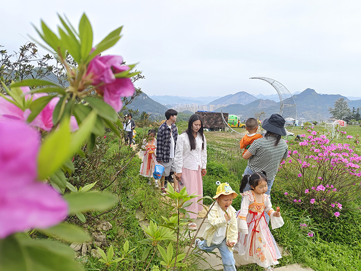 1、杉坪景區花開吸引眾多游客來打卡。