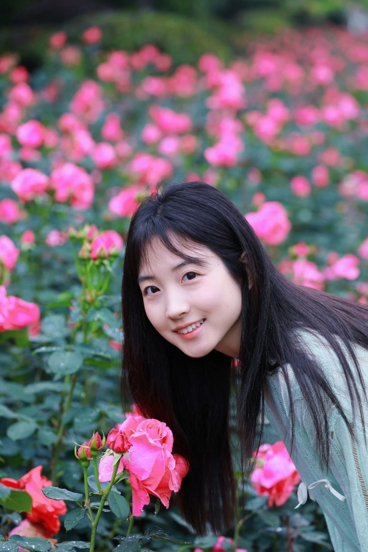 8月季花爭奇斗艷。