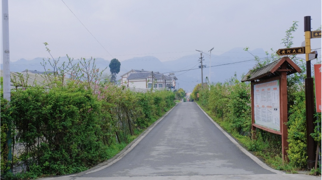 西洛街道開化社區.胡鳳至 攝.jpg