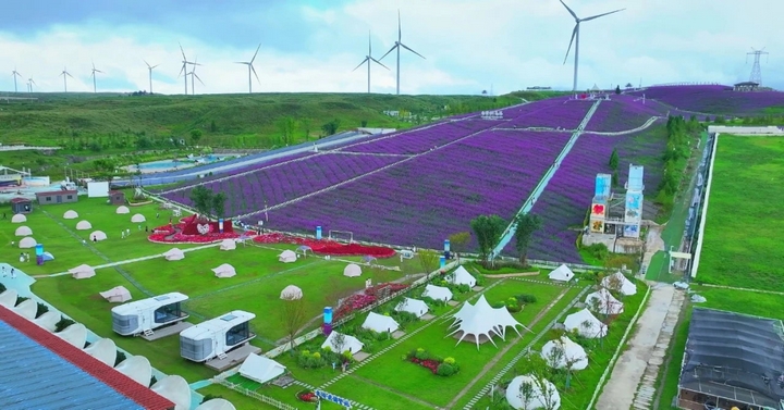 花溪高坡云頂花海。