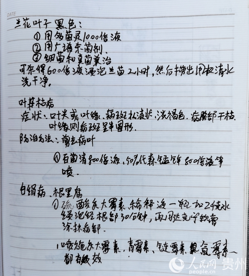 楊華飛的筆記本上，詳細記錄著蘭花常見的病蟲害和治療方法。人民網記者 王秀芳攝.jpg