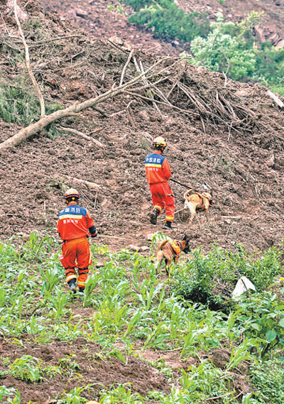5月23日,慶陽村山體滑坡現場,消防救援人員帶著搜救犬進行搜救。涂 敏 陽 茜攝影報道