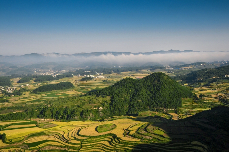 稻香郭家灣。姚祖告攝