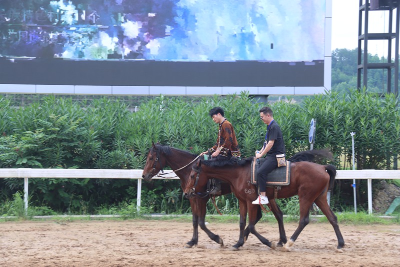國際青年體驗騎馬現場。