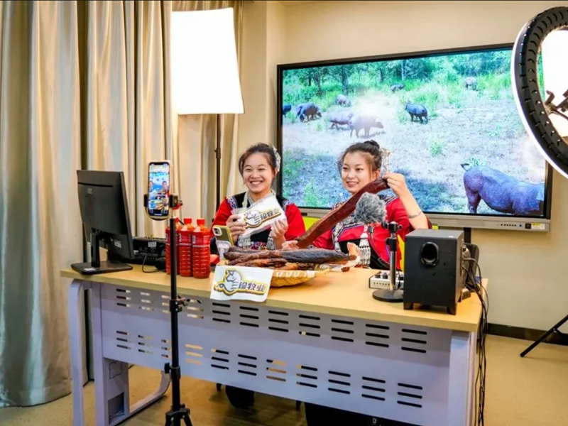 勞動育人成果顯著。