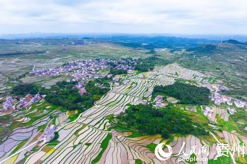 航拍貴陽市花溪區高坡苗族鄉梯田。人民網記者 涂敏攝