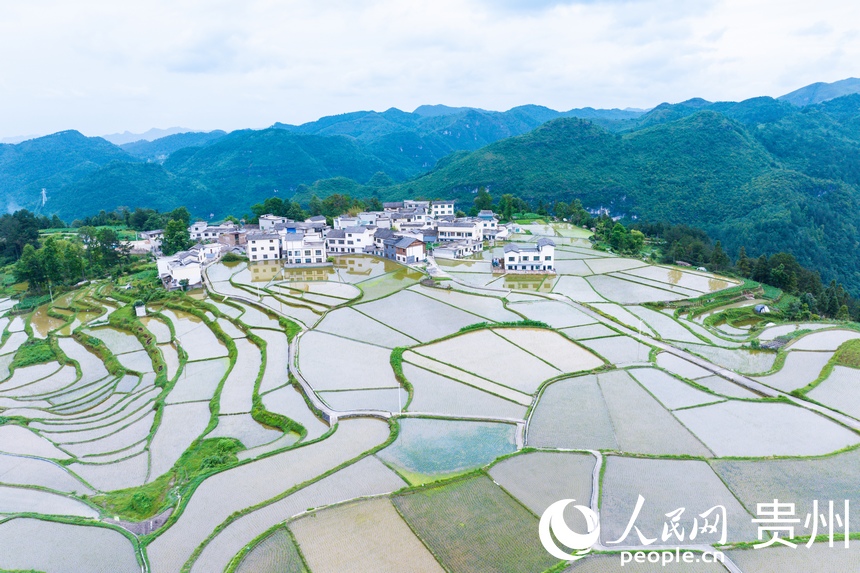 航拍貴陽市花溪區高坡苗族鄉梯田。人民網記者 涂敏攝