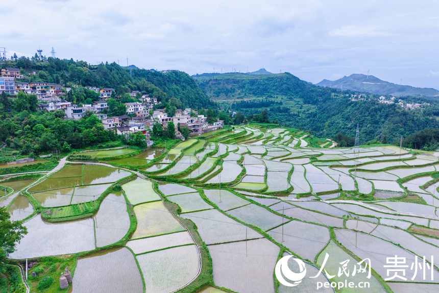 航拍貴陽市花溪區高坡苗族鄉梯田。人民網記者 涂敏攝