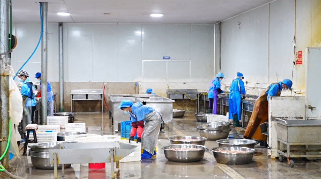 工廠內一派忙碌景象。