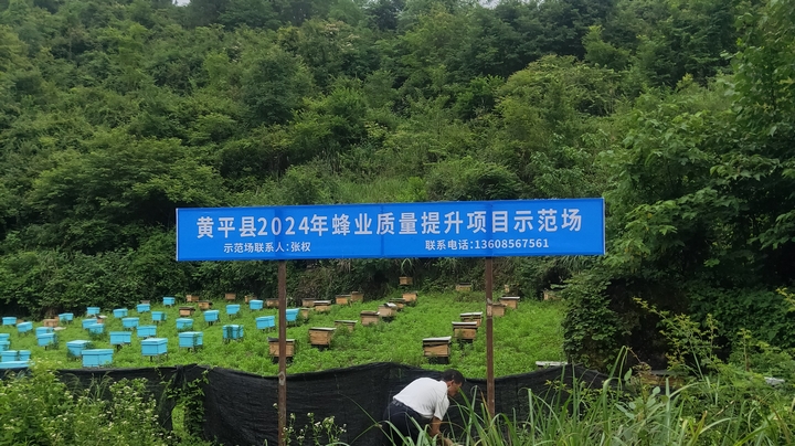 黃平縣2024年蜂業(yè)質(zhì)量提升項(xiàng)目示范場(chǎng)。