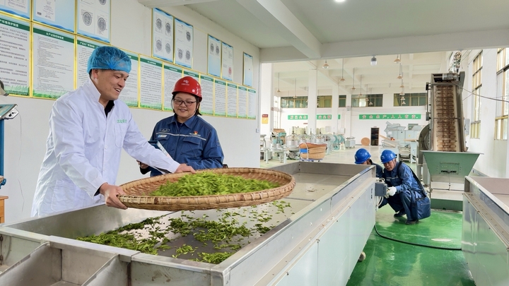 南方電網貴州貴陽供電局工作人員來到貴陽市開陽縣禾豐鄉，對茶企的用電設施設備開展檢查。萬偉 攝.jpg