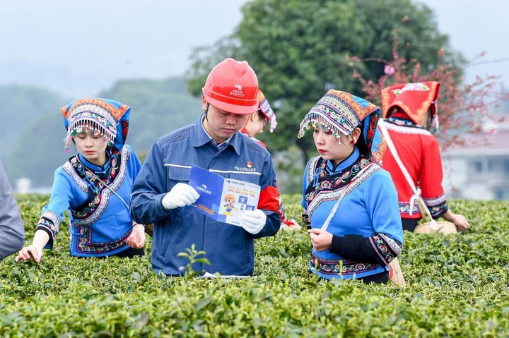 南方電網貴州遵義湄潭供電局工作人員來到田間地頭，了解農戶對“電制茶”用電需求，并進行安全用電知識宣傳。梁軍 攝.jpg