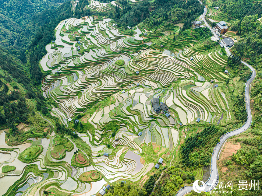 加榜梯田。人民網(wǎng) 陽茜攝