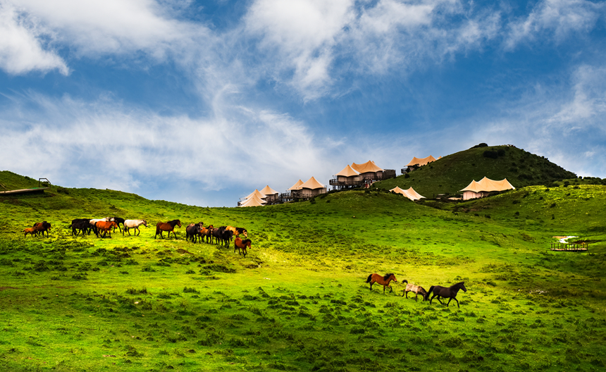 烏蒙大草原。貴州省文化和旅游廳供圖