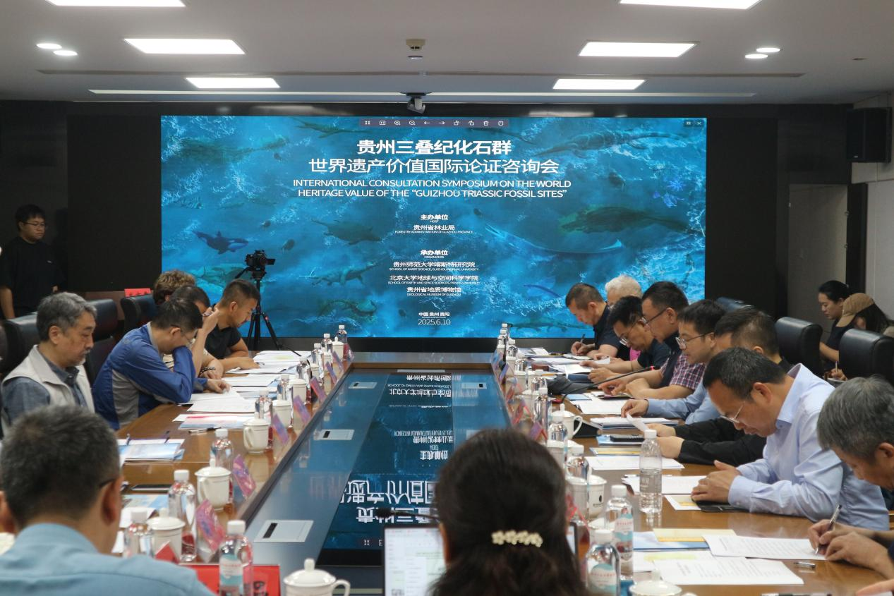 會(huì)議現(xiàn)場(chǎng)。