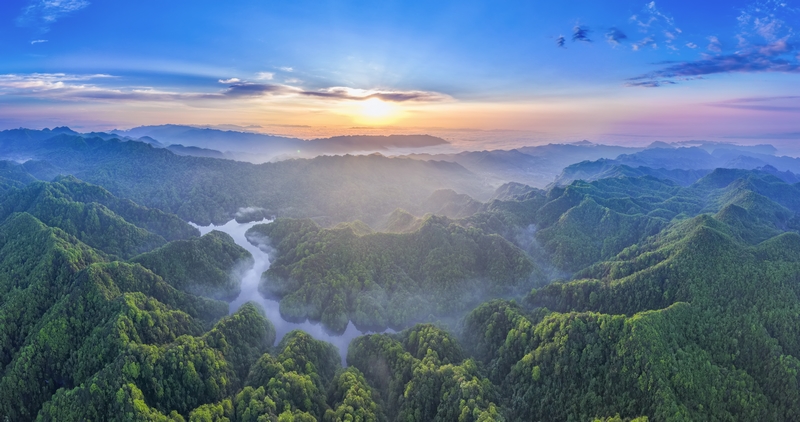 寬闊水·春季林。尹剛攝