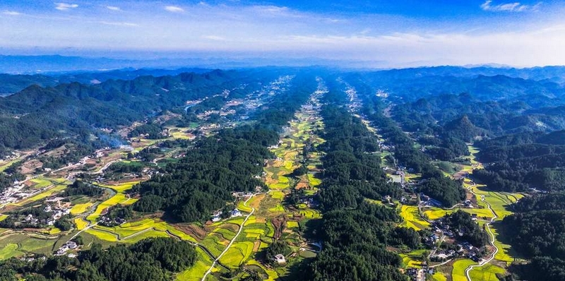 醉美米糧川。李自新攝