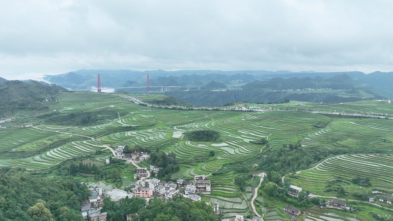 雄偉壯觀的龍里河大橋。