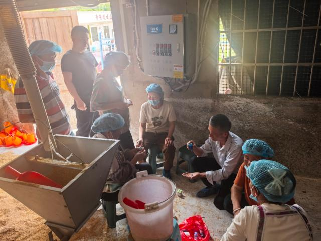 黨建引領(lǐng)“小肉雞”孵出鄉(xiāng)村振興“金鳳凰”。