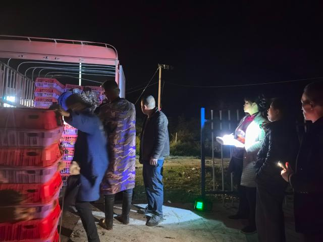 黨建引領“小肉雞”孵出鄉村振興“金鳳凰”。