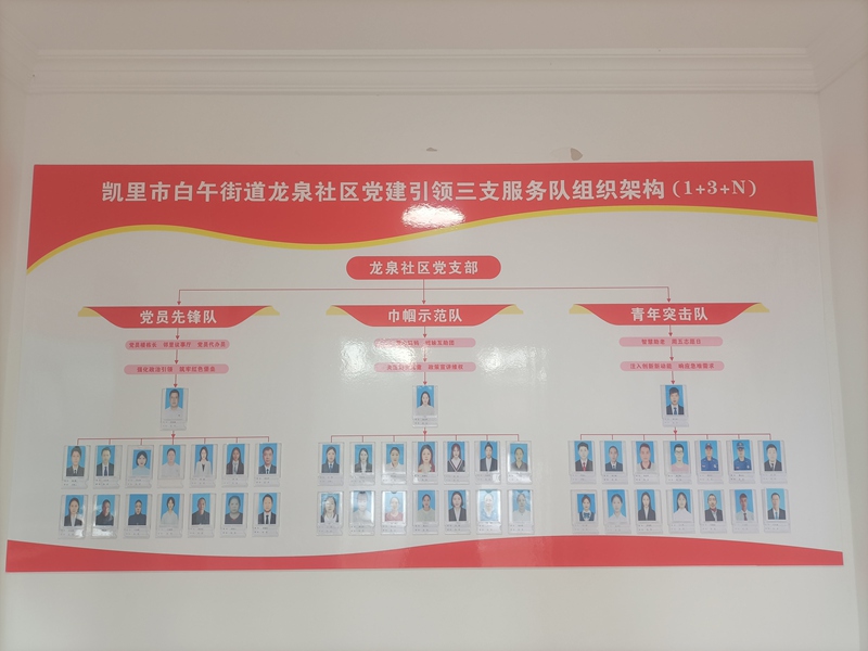 龍泉社區(qū)三支服務隊伍組織架構圖。