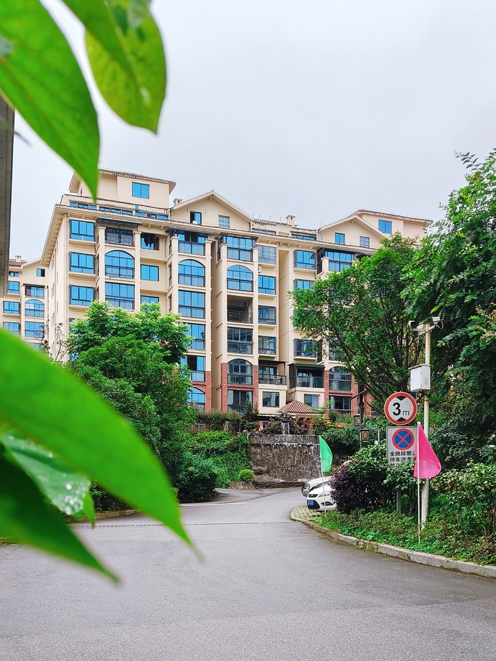 天泉。稅會靜 攝.jpg