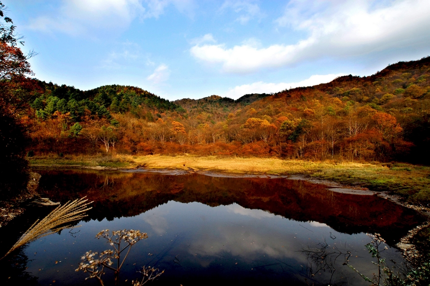 秋韻。貴州省林業局供圖