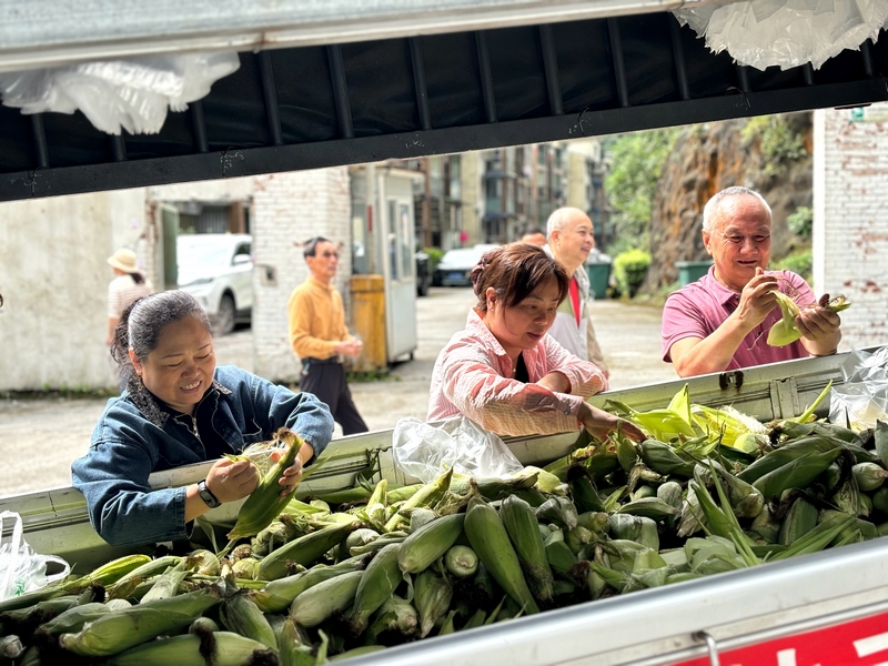 避暑游客們挑選新鮮的玉米。王燁攝