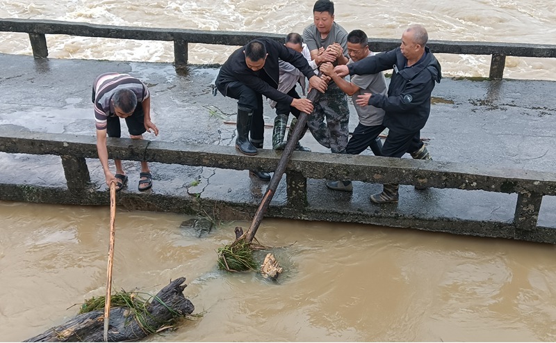 清理河道斷枝。