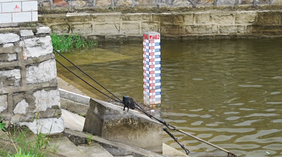 貴州西秀構建安全“四防線” 筑牢防汛安全網。